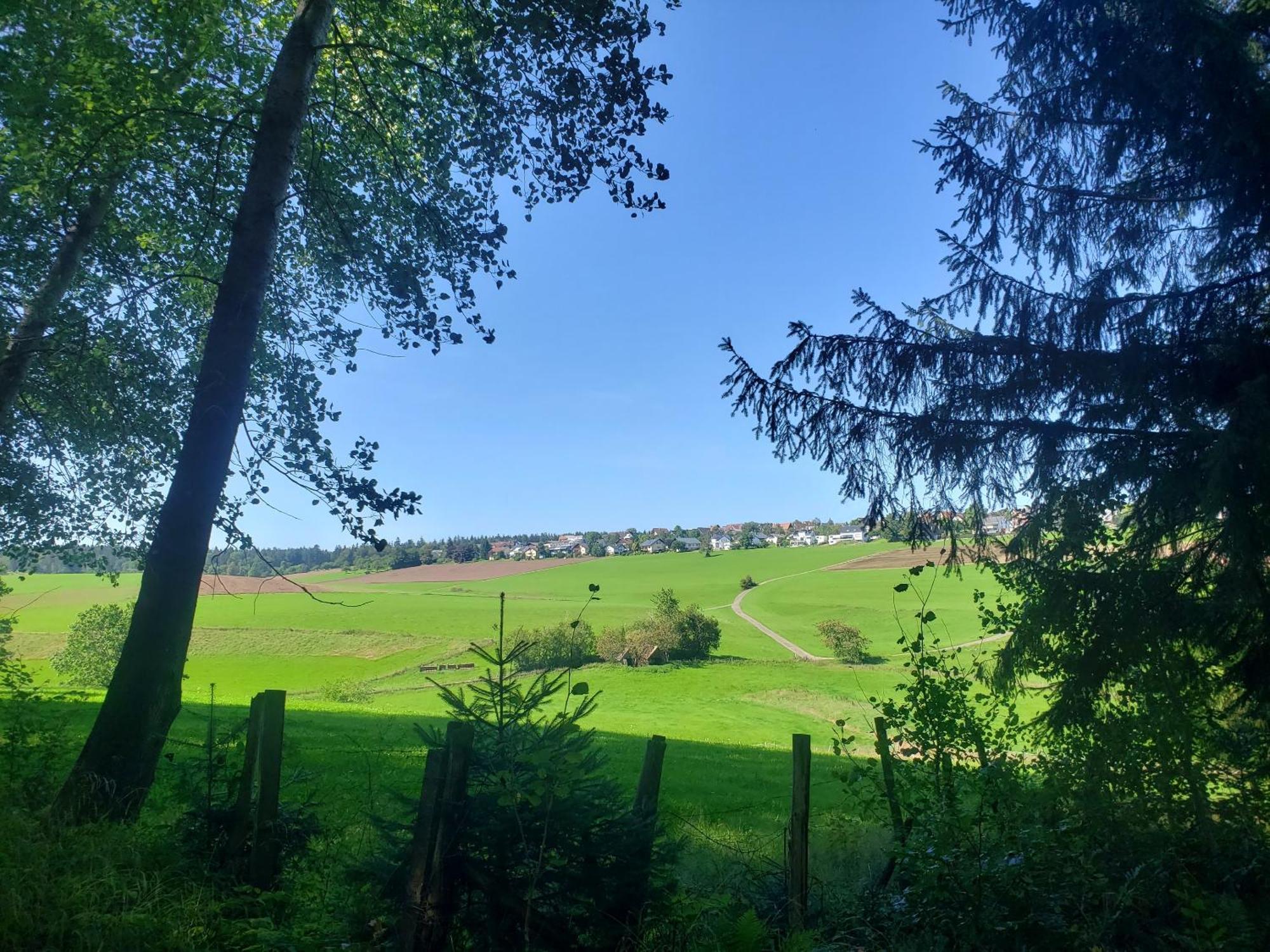 Alter Hirsch Hotel Pfalzgrafenweiler Eksteriør billede