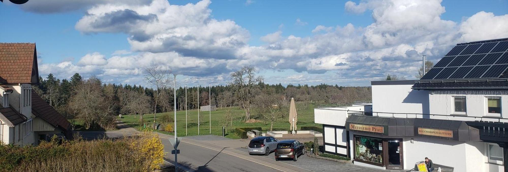 Alter Hirsch Hotel Pfalzgrafenweiler Værelse billede