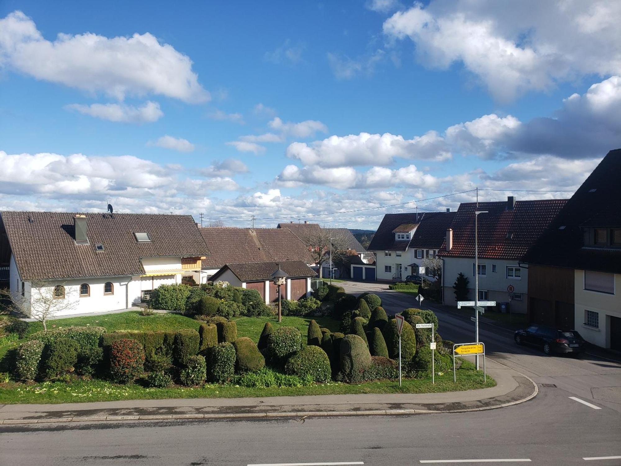 Alter Hirsch Hotel Pfalzgrafenweiler Værelse billede