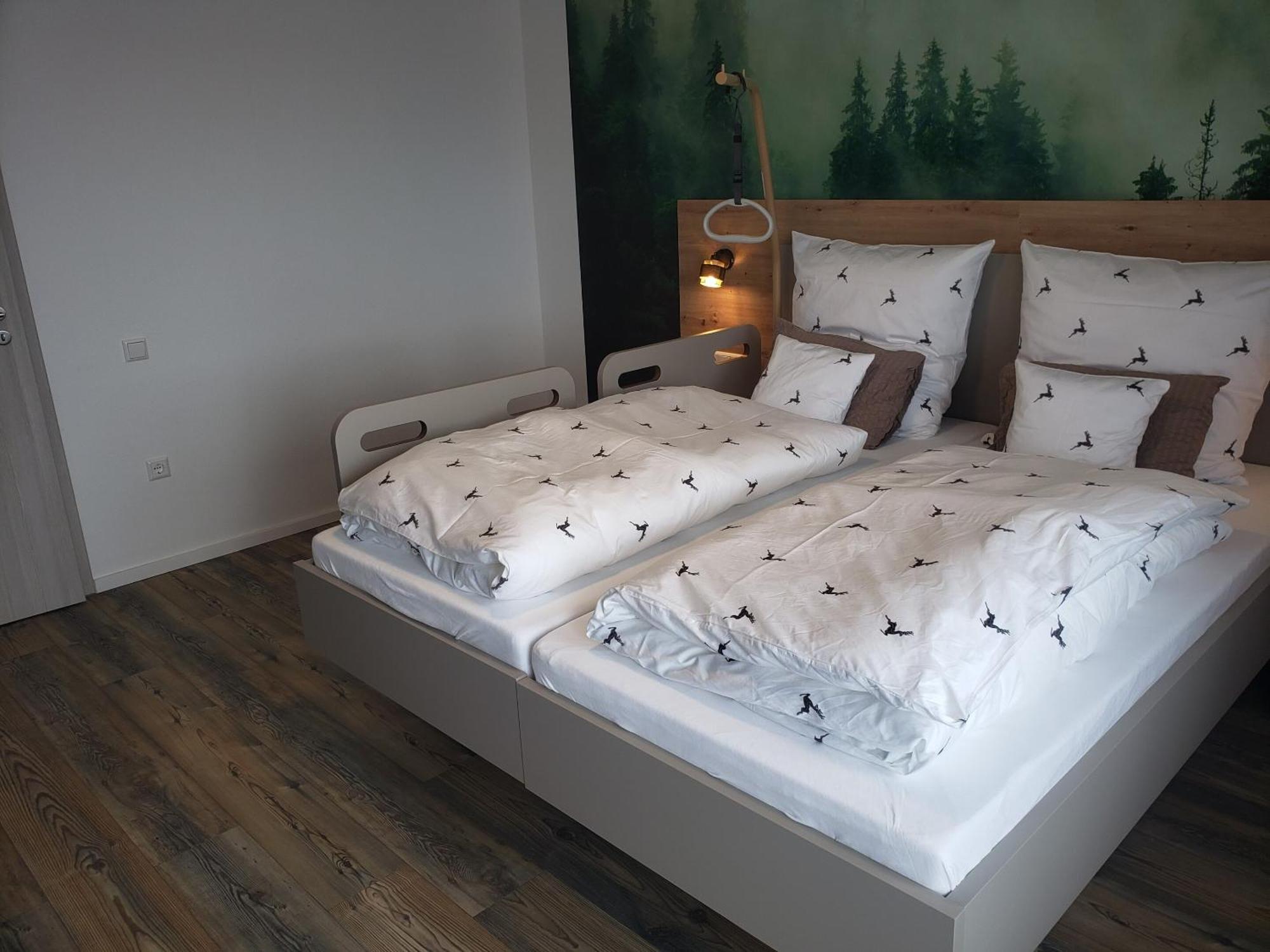 Alter Hirsch Hotel Pfalzgrafenweiler Værelse billede